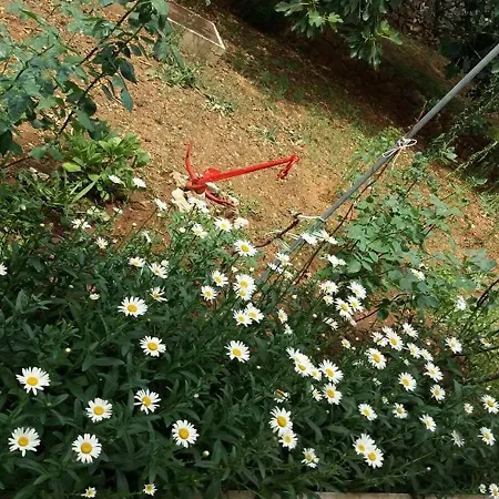 Appartement Ruzica *